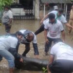 WhatsApp Image 2020-11-26 at 10.59.31