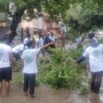 WhatsApp Image 2020-11-26 at 10.59.32