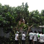 WhatsApp Image 2020-11-26 at 11.16.08