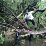 WhatsApp Image 2020-11-26 at 12.03.59