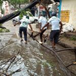 WhatsApp Image 2020-11-26 at 12.04.37