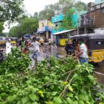 WhatsApp Image 2020-11-26 at 13.11.08