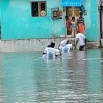 WhatsApp Image 2020-11-26 at 13.26.54