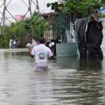 WhatsApp Image 2020-11-26 at 17.32.16